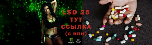 spice Бугульма