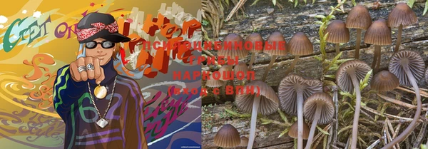 spice Бугульма