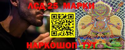 крисы Берёзовский