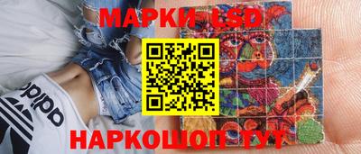 крисы Берёзовский