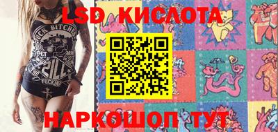 крисы Берёзовский